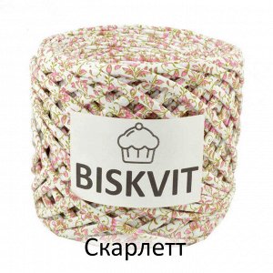 Трикотажная пряжа Biskvit 