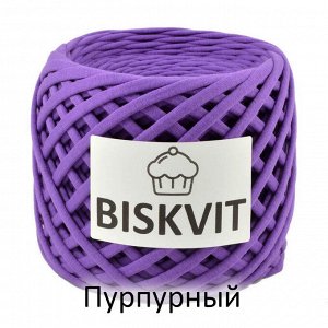 Трикотажная пряжа Biskvit 