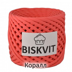 Трикотажная пряжа Biskvit 