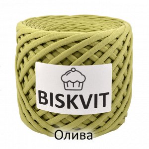 Трикотажная пряжа Biskvit 