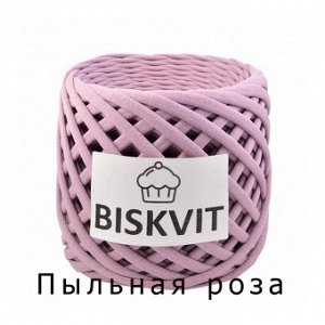 Трикотажная пряжа Biskvit 