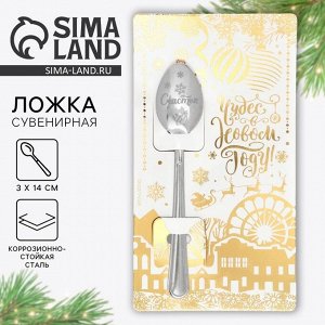 Ложка сувенирная на открытке «Чудес в новом году», 3x14 см