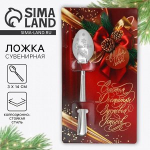 Ложка сувенирная на открытке «Счастья, достатка», 3x14 см
