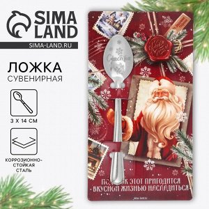 Ложка сувенирная на открытке «Подарок этот пригодится», 3x14 см
