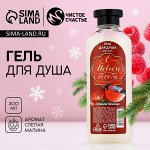 Новогодний гель для душа «С Новым годом», 300 мл, аромат спелой малины, ЧИСТОЕ СЧАСТЬЕ