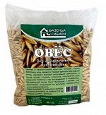 Овёс 500гр сидерат