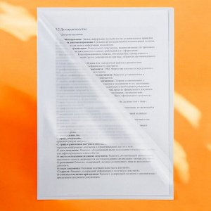 Папка-уголок BRAUBERG, прозрачная 0,10мм, 223966