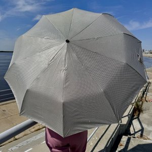 Зонт 10 СПИЦ!
Качественный зонт с прочным каркасом и плотным материалом.
Механизм: Супер автомат (полный автомат).
Длинна в сложенном виде 30 см.
Сложение зонта: 3 (три) сложения.
Материал верха: Эпон