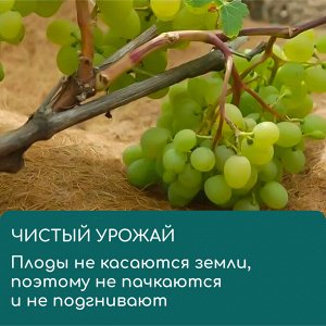 Круг приствольный, d=0.25 м, из кокосового полотна, Greengo