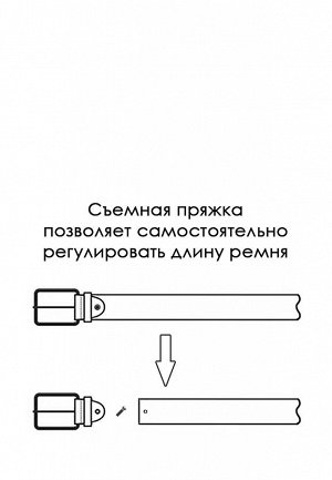 Ремень кожаный мужской CARPENTER Cr17 напаллан черный