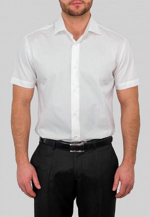 Сорочка мужская короткий рукав GREG 510/109/ALT/ZV