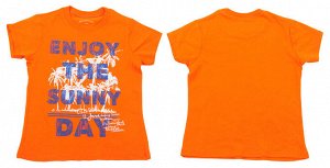 Яркая детская футболочка Becasin Kids.  Гипоаллергенный хлопок и дизайн, который подходит и мальчикам, и девочкам. СЕЗОННЫЙ ОБВАЛ ЦЕН! Родители, сэкономить, не хотите ли? Тр389 ОСТАТКИ СЛАДКИ!!!!