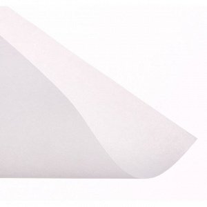 Калька для чертёжных и дизайнерских работ А3, 20 листов в папке Calligrata, 40 г/м2