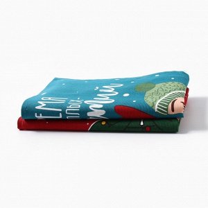Набор кухонный полотенец «Доляна» Merry catmas, 35x60 см - 2 штуки, 100% хлопок, 160 г/м²