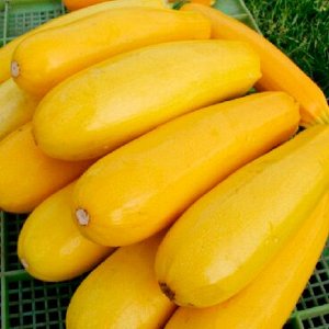 Семена кабачок Желтоплодный 5шт