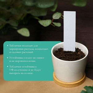 Бирки садовые для маркировки, 20 см, набор 10 шт., пластик, белые, Greengo