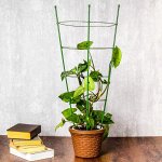 ☑ ︎Кустодержатели, шпалеры для комнатных растений