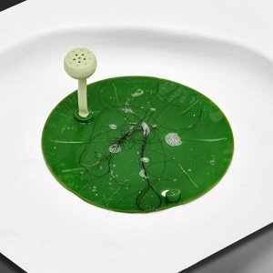 Сетка-фильтр для слива, с ароматизированной таблеткой 1 шт.