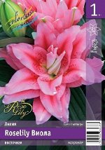 Лилия Roselily Виола