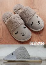 Тапочки