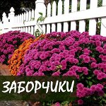 ДАЧНАЯ ОСЕНЬ. Заборчики для клумб