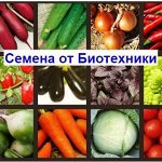 Семена РАСПРОДАЖА СКИДКА 30-50%