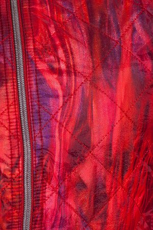 #22205 Куртка (D'IMMA) Красный