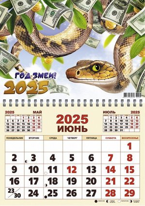 Календарь Одноблочный А3, 2025 г., "На денежном дереве", 66506