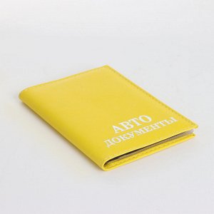 Обложка для автодокументов, цвет красный
