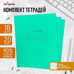 Набор тетрадей 18 листов в линейку «Зелёная обложка», белые листы, 20 шт.