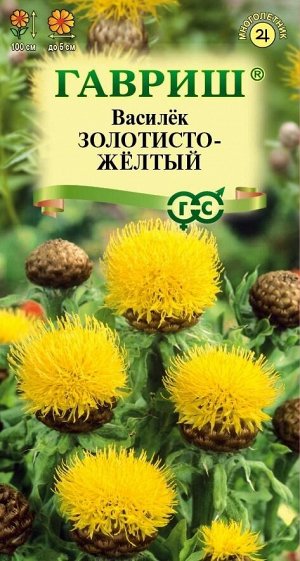 Василек Золотисто-желтый, крупноголовчатый, многол. 0,2 г