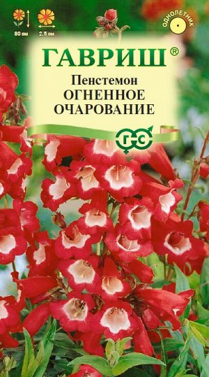 Пенстемон гибридный Огненное очарование* 0,1 г