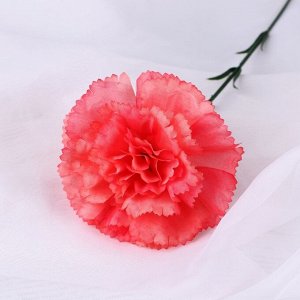 Цветы искусственные «Гвоздика экстра галант», h=49 см, d=8 см, коралловые