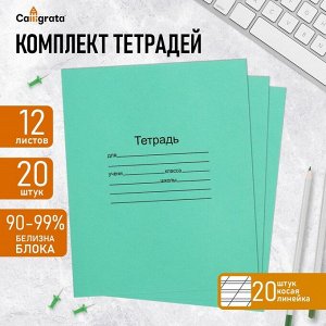 Набор тетрадей 12 листов в косую линейку «Зелёная обложка», 60 г/м², белые листы, 20 шт.