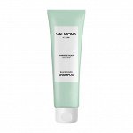 Evas Valmona Шампунь для волос Ayurvedic Scalp Solution Black Cumin Shampoo