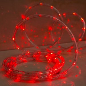 LED шнур 13 мм, круглый, 5 м, чейзинг, 2W-LED-24-220V, с контролл. 8р, красный