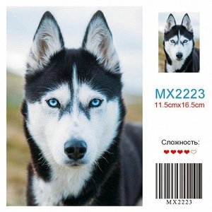 Алмазная мозаика на мольберте 11,5*16,5см MX2223