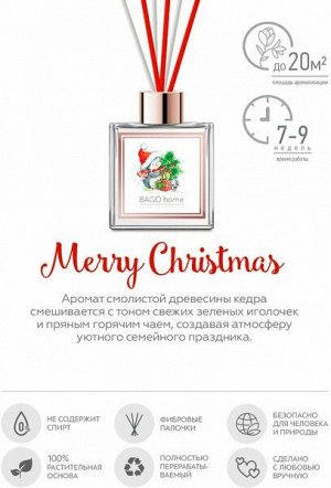 Ароматический диффузор 75 мл С Новым годом! BAGO home, BGF0103