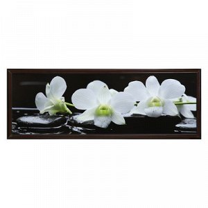 Картина "Орхидеи на чёрных камнях" 57*157 см рамка МИКС
