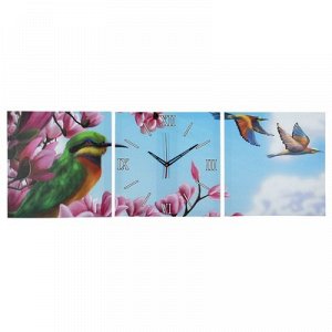 Часы настенные, серия: Животный мир, модульные Колибри, 35х110 см, микс