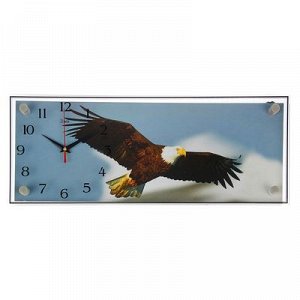Часы настенные, серия: Животный мир, "Орел", 50х20 см, микс