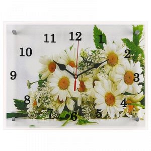 Часы настенные, серия: Цветы, "Ромашки", 30х40 см, микс