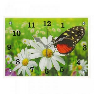 Часы настенные, серия: Цветы, "Бабочка и ромашки", 25х35 см, микс