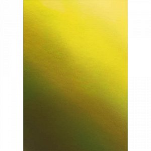 Записная книжка А5 100л клетка CHAMELEON Золотистый КЗХ51002578