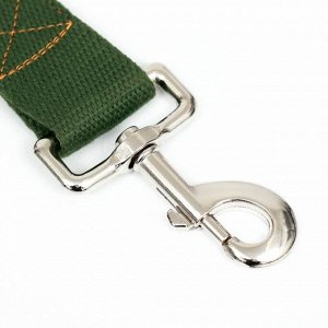 Поводок брезентовый 10 м x 3.5 см, хаки