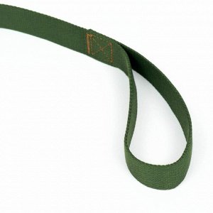 Поводок брезентовый 10 м x 3.5 см, хаки