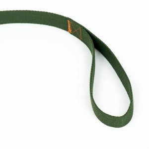 Поводок брезентовый, 3 м x 2.5 см, хаки
