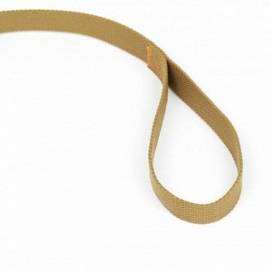 Поводок брезентовый, 2.7 м x 2.5 см, песочный