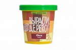 Набор для выращивания &quot;Юкка сизая&quot;