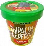Набор для выращивания &quot;Виноград амурский&quot;